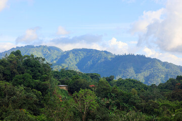 Fototapeta na wymiar The Blue Mountains in Jamaica, Caribbean, Middle America