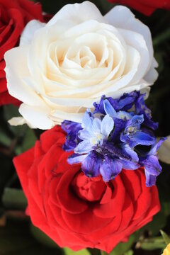 Red white and blue wedding flowers