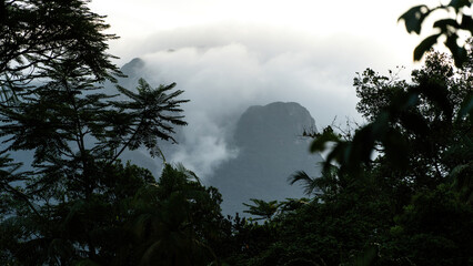Obraz na płótnie Canvas Montanha envolta em nuvens e floresta úmida em primeiro plano