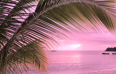Sunset at the beach in Negril, Jamaica, Caribbean, Middle America - obrazy, fototapety, plakaty