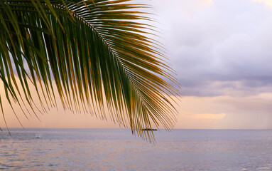 Image of Sunset at the beach in Negril, Jamaica, Caribbean, Middle America printed on Printed Glass Basin Splashbacks