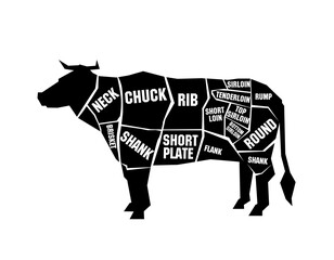 Butcher's guide: Cuts of beef scheme. Illustration of bull on white background