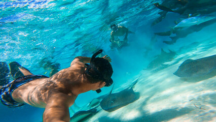 Men snorkeling sea with stingray and shark 2 - obrazy, fototapety, plakaty