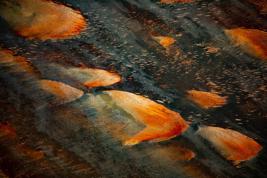 Kati Thanda Lake Eyre, South Australia, Australia. Aerial photography showing textures and patterns formed during the wet season.