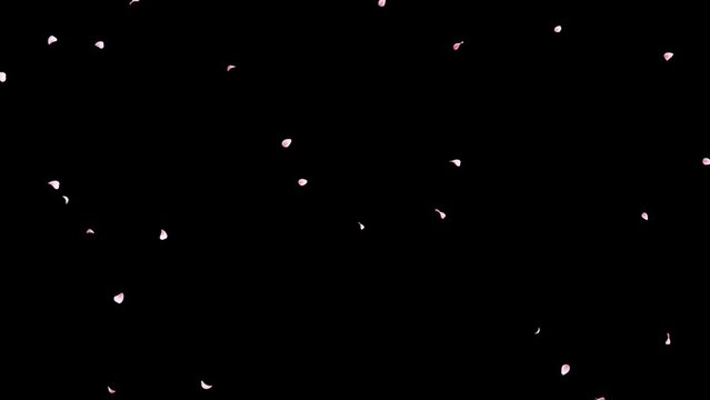 桜の花びら 舞い落ちる 背景動画素材 ループ
