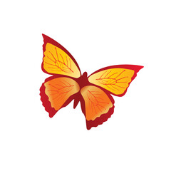 butterfly logo, butterfly logo design, butterfly logo ideas, butterfly icon vector