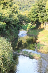 葉山町で流れる川の風景