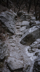 눈 내린 겨울 등산로 