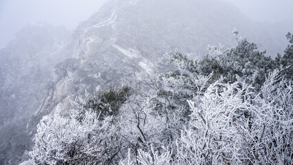북한산 정상에서 바라본 눈 덮인 풍경