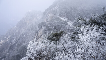 눈 내린 산 정상에서 바라본 풍경