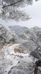 하얀 눈으로 덮인 산속 절경 