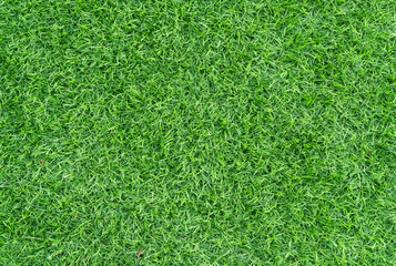 The green sports ground from the natural grass provides a refreshing feeling for those who exercise.  abstract background.