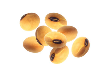Flying group soybean seeds isolated on white background.