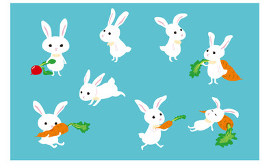 かわいい白ウサギのポーズ集イラスト
