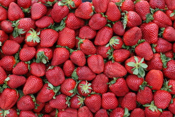 Fresh vegetables and fruits are sold at a bazaar in Israel.