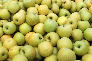 Fresh vegetables and fruits are sold at a bazaar in Israel.