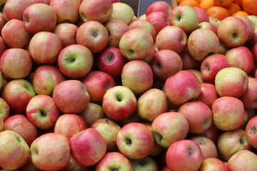 Fototapeta na wymiar Fresh vegetables and fruits are sold at a bazaar in Israel.