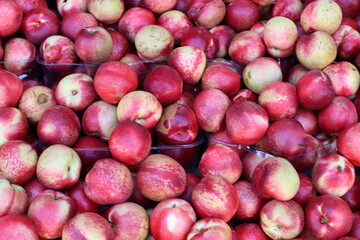 Fresh vegetables and fruits are sold at a bazaar in Israel.