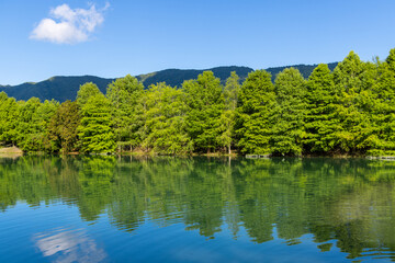 Fototapeta na wymiar Beautiful lake with green tree reflection in Hualien County of Taiwan