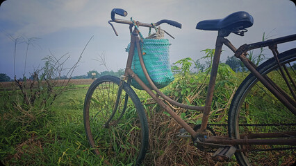 old bicycle used by farmers for transportation purposes