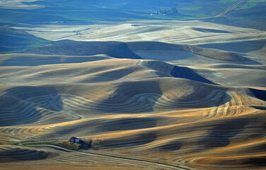 Palouse landscape at harvest time