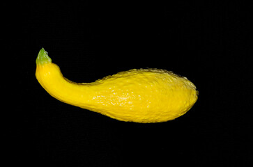 Crookneck squash