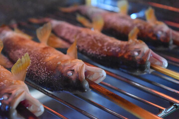 岐阜県長良川水系板取川のアユの串焼き