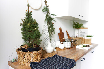 Minimalistic light kitchen interior using pine branches