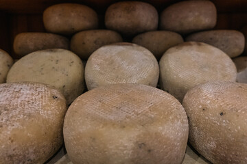 Fototapeta premium Artisan Pecorino cheese for sale on a Tuscany shop