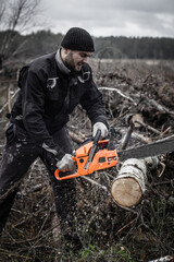 A log sawn off by a chainsaw falls to the ground. The grain of the wood is visible in the saw cut. Close-up of a chainsaw working. A man clears the area of fallen trees. - obrazy, fototapety, plakaty