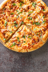 Homemade barbecue chicken pizza with onion and special sauce closeup on the wooden board on the table. Vertical top view from above