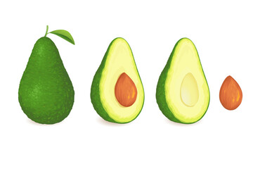 Avocado isolated on white background