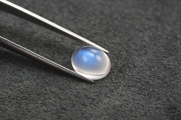 Natural adularia blue sheen oval shaped cabochon moonstone setting in tweezers. Loose gem on gray leather textured background. Feldspar mineral group. Semiprecious gemstone rare and expensive stone. - obrazy, fototapety, plakaty