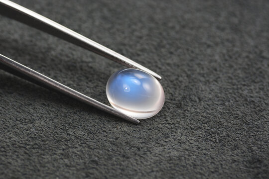 Natural adularia blue sheen oval shaped cabochon moonstone setting in tweezers. Loose gem on gray leather textured background. Feldspar mineral group. Semiprecious gemstone rare and expensive stone.