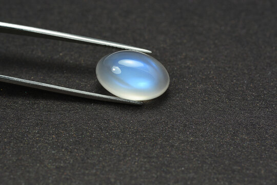 Natural adularia blue sheen oval shaped cabochon moonstone setting in tweezers. Loose gem on dark gray textured background. Feldspar mineral group. Semiprecious gemstone rare and expensive stone.