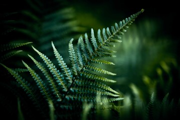 Selective focus of green fern plants with blur background in the garden for background