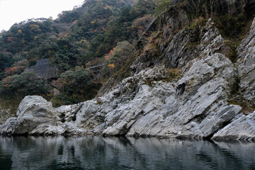 【徳島】秋の大歩危峡（紅葉）