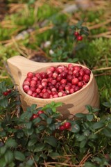 Many ripe lingonberries in wooden cup outdoors