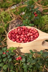 Many ripe lingonberries in wooden cup outdoors