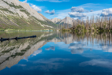 Reflection of the charred trees from the Excelsior Forest Fire in Medicine Lake, Jasper National Park, Alberta