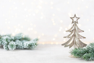 Christmas background with christmas trees, front view with copy space.
