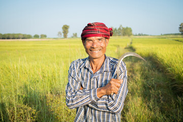 Asian senior man farmer standing in rice green paddy field with happiness.