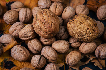 walnuts are scattered on the table