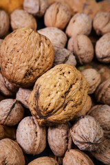 walnuts are scattered on the table