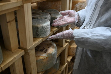 The worker shows the cheese in the warehouse at the production - 549388104