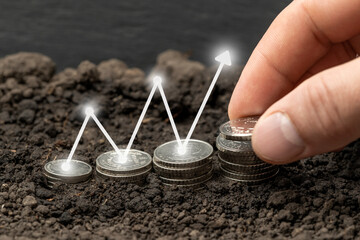 Money growth in soil with green leaves and trees concept, business and farming success finance. Agriculture plant seeding growing step concept in garden
