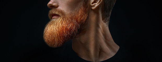 Perfect beard. Young man turned his head in profile. Close-up portrait of young bearded man on black background