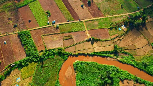 Top view from drone flying over agricultural areas, Horticulture and field crops, Country roads and farmer's houses. Mae Hong Son Province Northern Thailand. cultivation concept. agriculture industry
