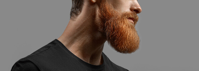 Male beard close-up photo in profile. Excellent red beard. Close-up of young bearded man on grey...