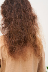 Dry and frizzy natural curly hair that needs hydration. Natural curls before salon treatment. close up. - 549395125